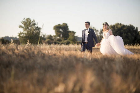 幸福的新郎和新娘走在夏天日落草甸图片