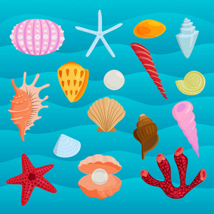 海洋海洋动物和贝壳矢量图