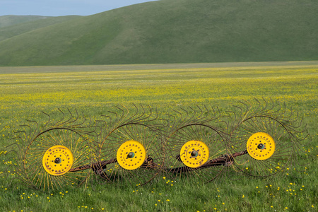 Castelluccio di 阿西西在锡比利尼公园