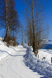 在冬季景观在喀尔巴阡山区公路