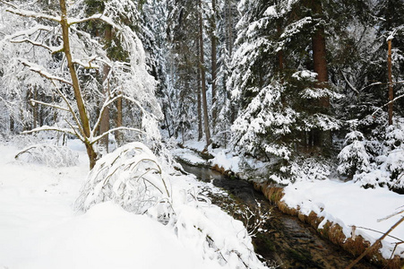 波希米亚瑞士的冬季小溪