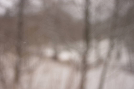 模糊的背景森林雪冬