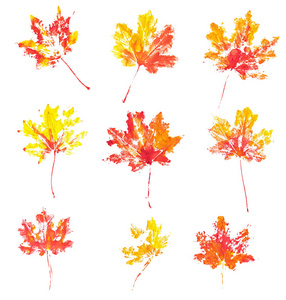 秋天的枫叶印记水彩图片