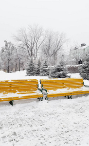 哈尔科夫大街上的带雪的长椅冬天