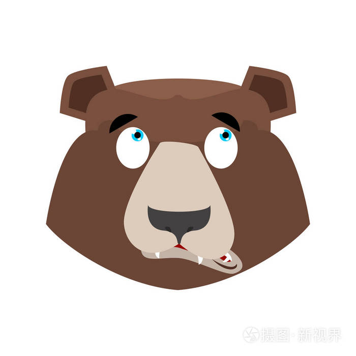 熊惊讶表情.灰熊的惊讶的情感.面对野生动物