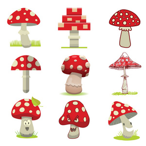 鹅膏菌蘑菇矢量卡通不同类型
