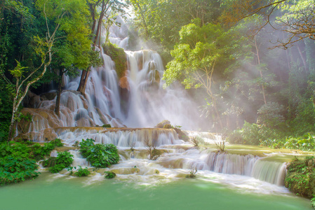 在雨林里 Tat 夼寺瀑布在銮 praba 瀑布