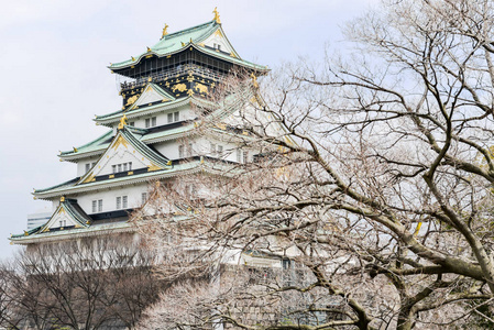 在日本大阪市大阪城堡