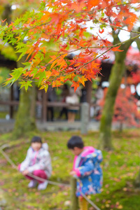 孩子们开心的日本秋天的红枫叶，在东福寺与模糊