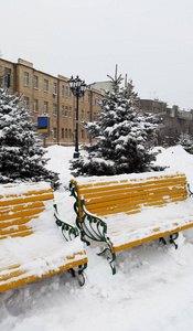 哈尔科夫大街上的黄色长椅冬天