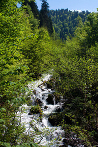 阿布哈兹旅行春天