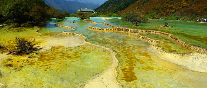 美丽的 国家的 森林 遗产 地质学 地点 省份 风景 四川