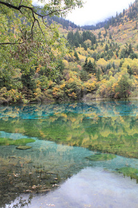 水，反射，自然，身体，保护区，植被，树叶，树木，河流，资源，湖泊，河岸，池塘，河岸，地带，湿地，