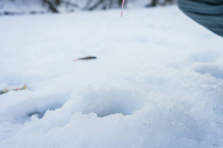冬季钓鱼的主题, 鱼躺在冰上
