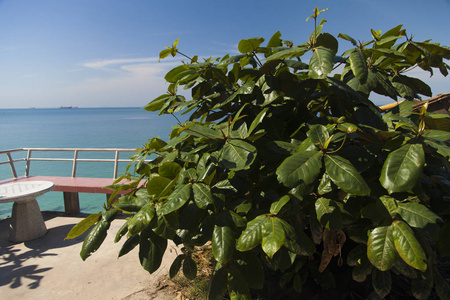 美丽的海边风景