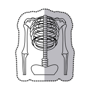 人类的骨架图标图像