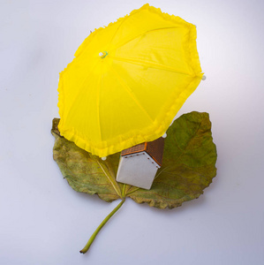 模型房子放在一片秋叶和伞下