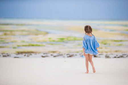 可爱的小女孩，在退潮的海滩假期
