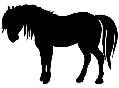 饲养马精美的矢量动画剪影   黑白色。Eps 10 矢量图