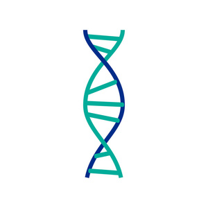 Dna 分子标志 遗传因素和图标集合钢绞线。矢量