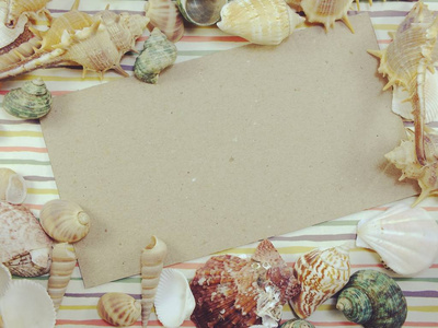 夏季假日季节海洋生物卡贝壳和副本空间背景