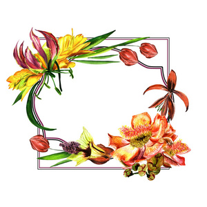 热带夏威夷叶子和花朵中孤立的水彩风格的帧