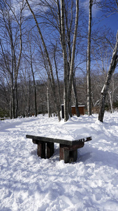 登别温泉步行街森林中的雪和长凳