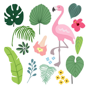 夏季热带图形元素与火烈鸟鸟。丛林花卉插图 棕榈和龟背竹的叶子和芙蓉花，平面设计。孤立的库存载体