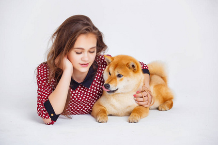 日本芝犬狗附近与所有者窗口