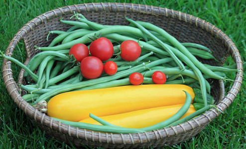 篮子里的花园新鲜西葫芦 青刀豆和番茄