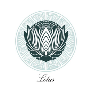 Lotus  