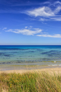 区域自然公园沙丘 Costiere,Apulia 意大利