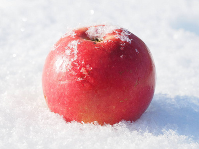 雪上的苹果。 冬天