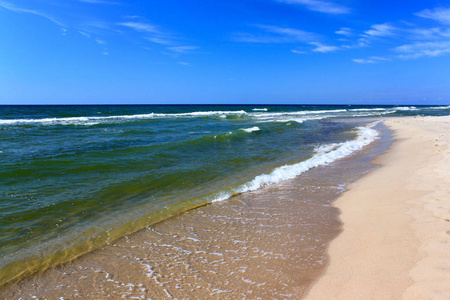 夏天波罗的海海岸的沙滩