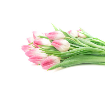 郁金香花水滴新鲜的春粉色花束