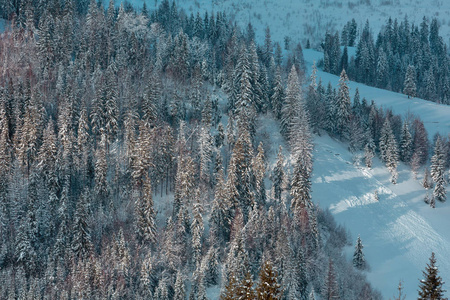冬天乌克兰喀尔巴阡山区景观