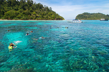 在 Koh 韩国，泰国安达曼海浮潜