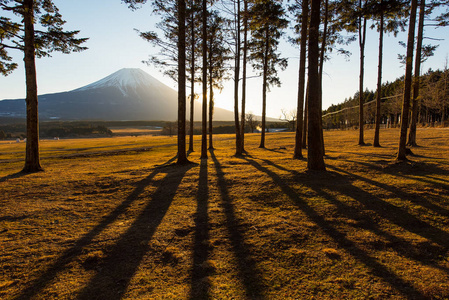 日出在富士山地场