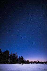 在晚上与树和星星的农村冬季景观。