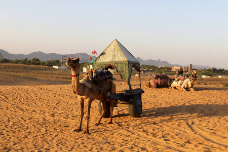 在沙漠中骑骆驼