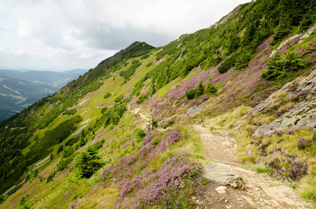 krkonose  karkonosze 山在捷克共和国