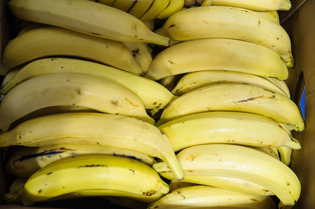 成熟的香蕉在农民的市场