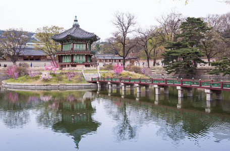 景福宫的春天在首尔韩国