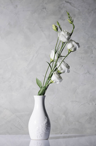美丽的鲜花在白色的花瓶