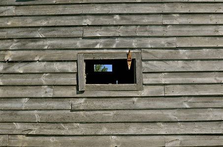 一座风化的老建筑墙壁上的窗户