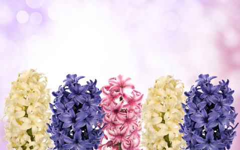 easter.spring.holiday.bouquet 花