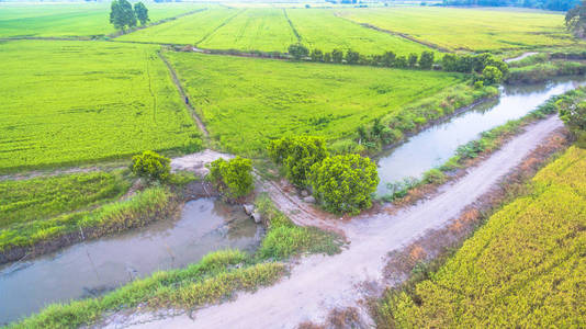 水从大坝用于种植水稻