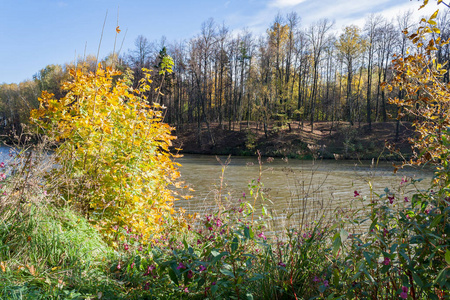 在阳光明媚的秋日景观在城市的池塘