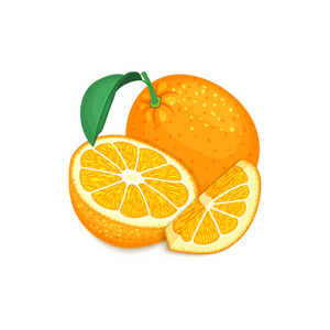 橙色的热带水果的组成。成熟的矢量柑橘橙水果整个和切片开胃看。组的美味多汁的水果，果汁 早餐 健康食品的包装设计