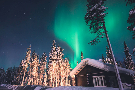美丽的图画的大规模五彩绿色充满活力的北极光，极光，也知道作为北极光在夜空中拉普兰景观，挪威 斯堪的那维亚越冬